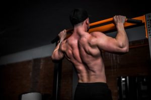 muscles