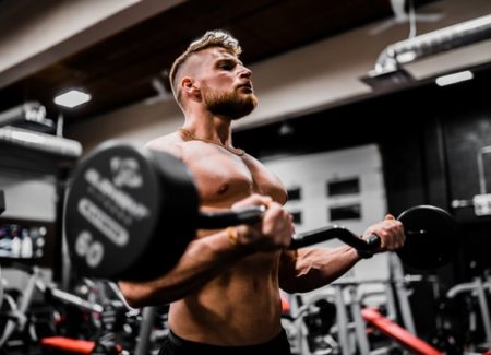 muscles